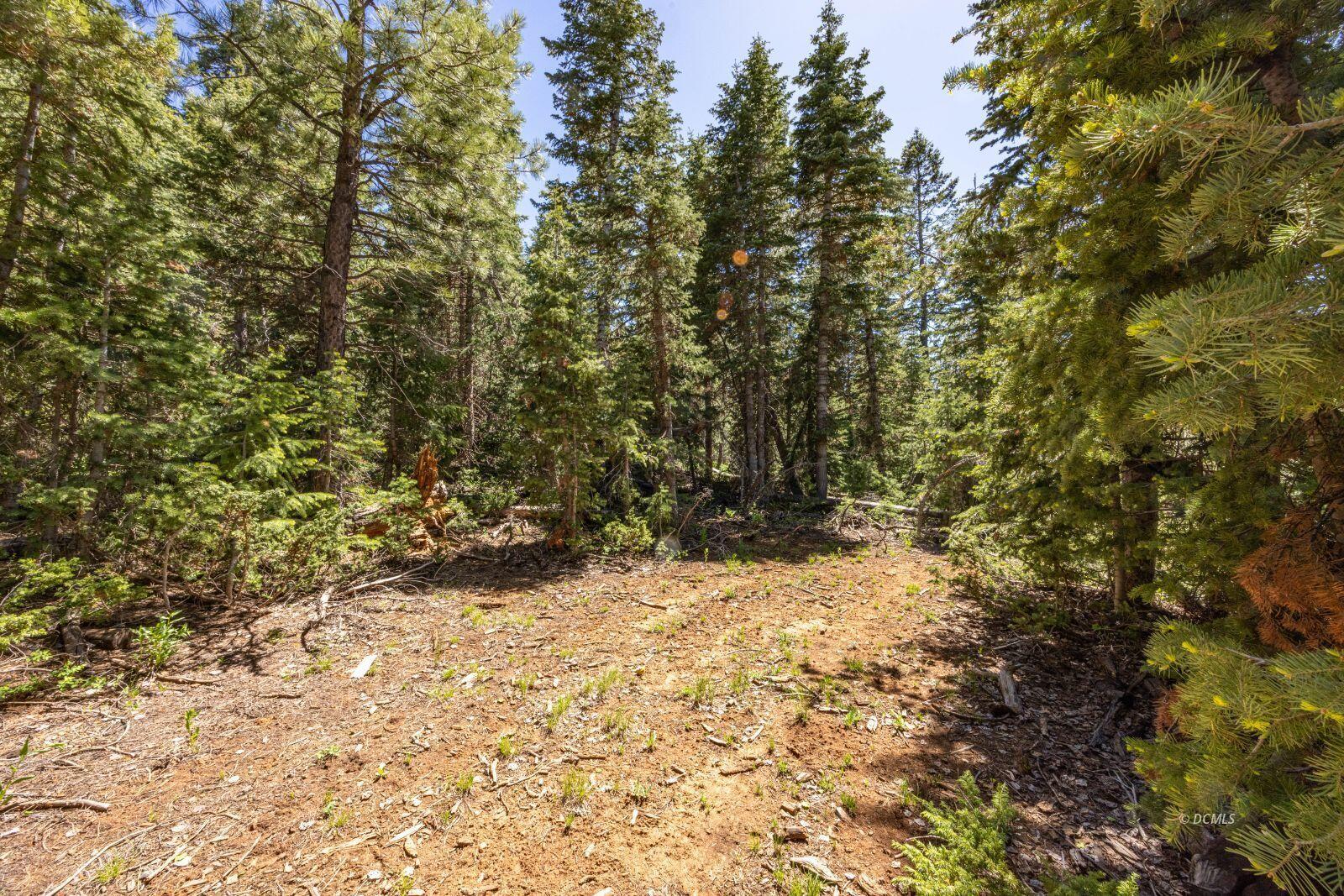 1365 W Twisted Trail, Duck Creek Village, UT 84762 — photo 1