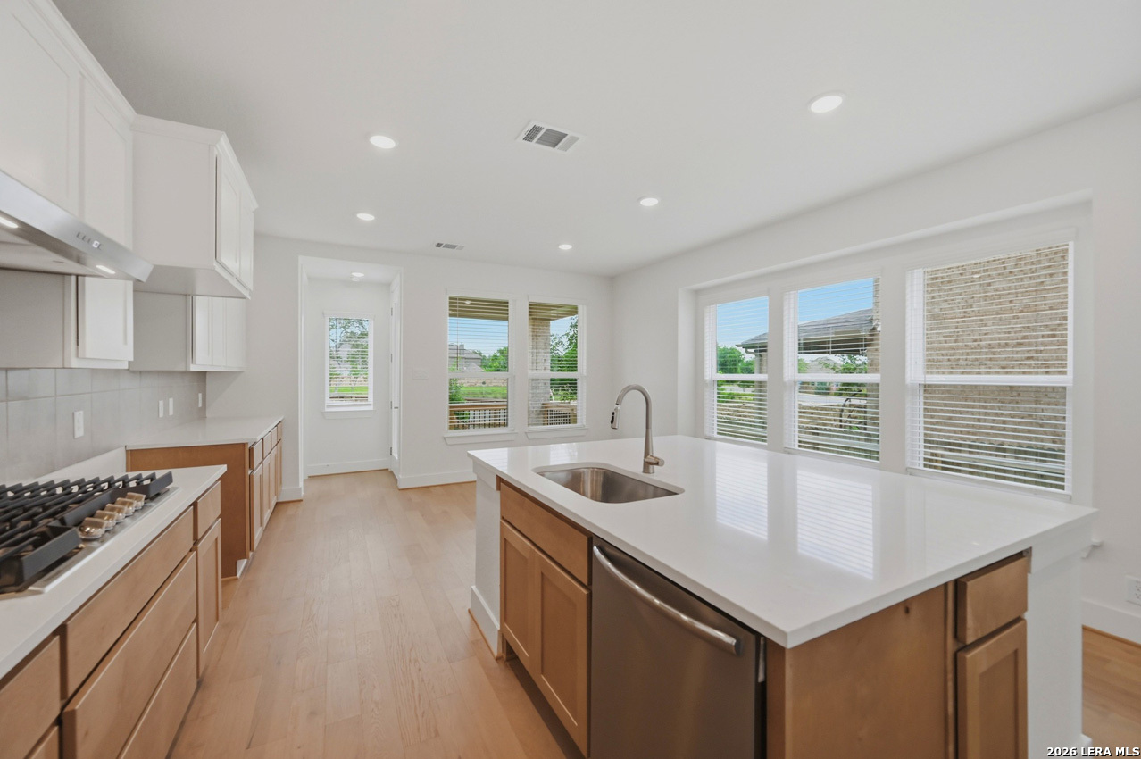 11310 Coppola, ,  78254 — photo 1