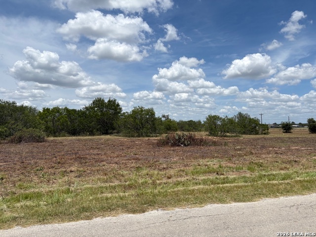 100 Oak Hollow Drive, ,  78121 — photo 1