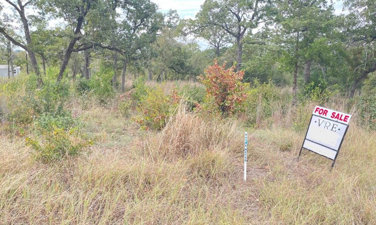 191 Tuck, Cedar Creek, TX 78612 — photo 1