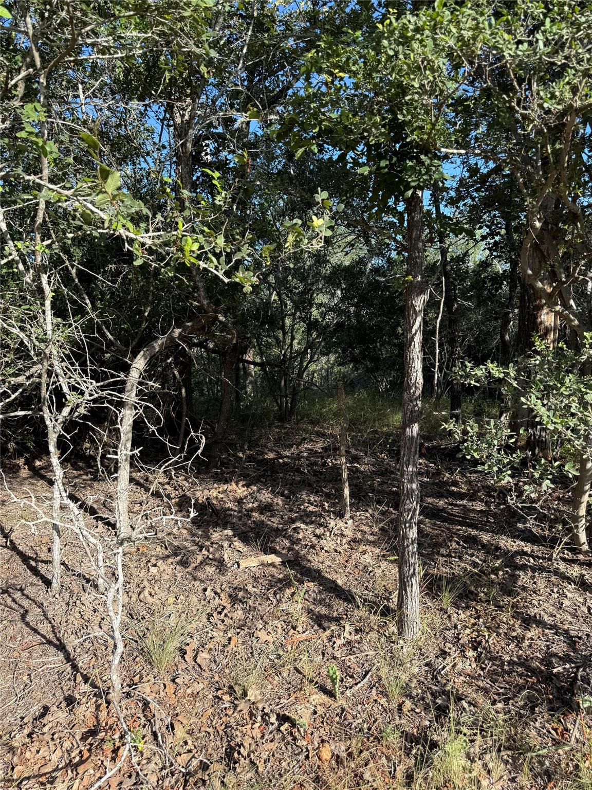 152 Helemano, Bastrop, TX 78602 — photo 1