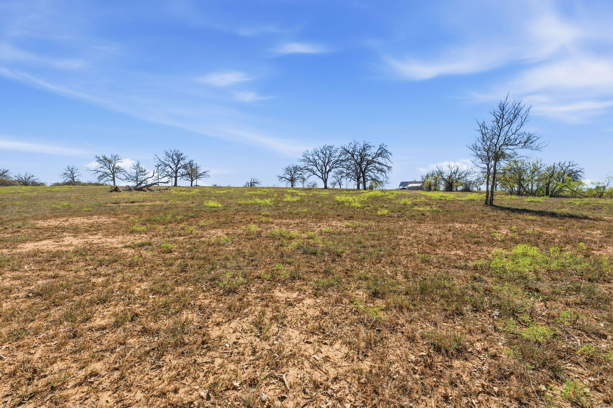 TBD New Moon, Red Rock, TX 78662 — photo 1