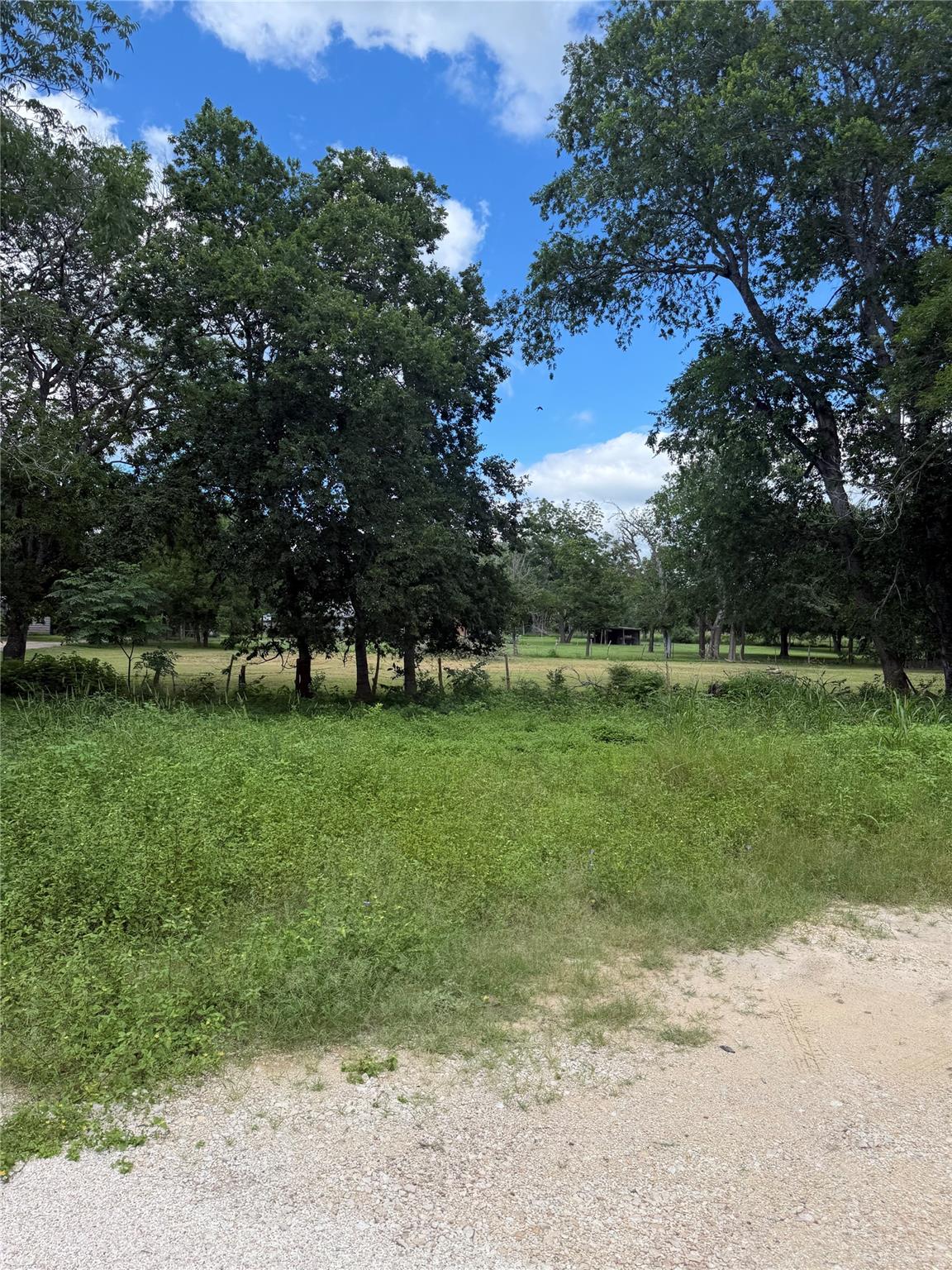 TBD Crockett, Martindale, TX 78655 — photo 1