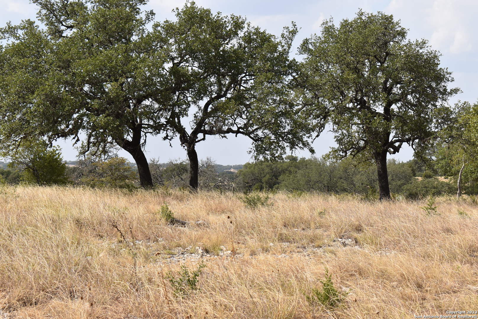 000 Cattlemans Crossing Drive