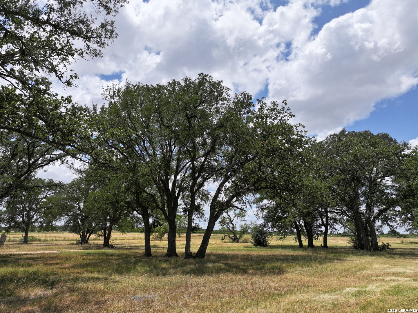 497 LUCKENBACH RD, ,  78624 — photo 1