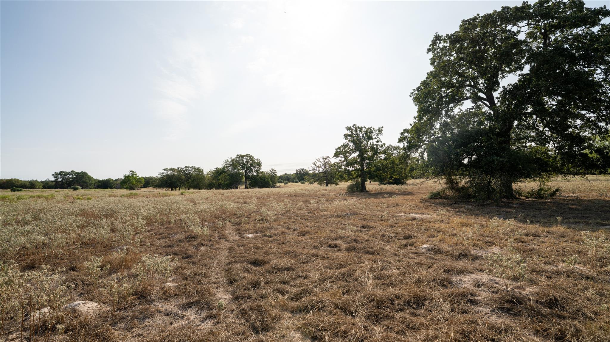 TBD TRACT 5 CEDAR ROCK