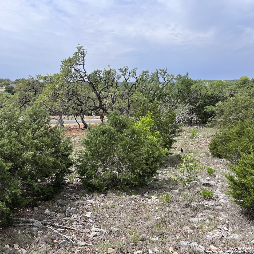 1430 Trailhead, , 78132 — photo 1