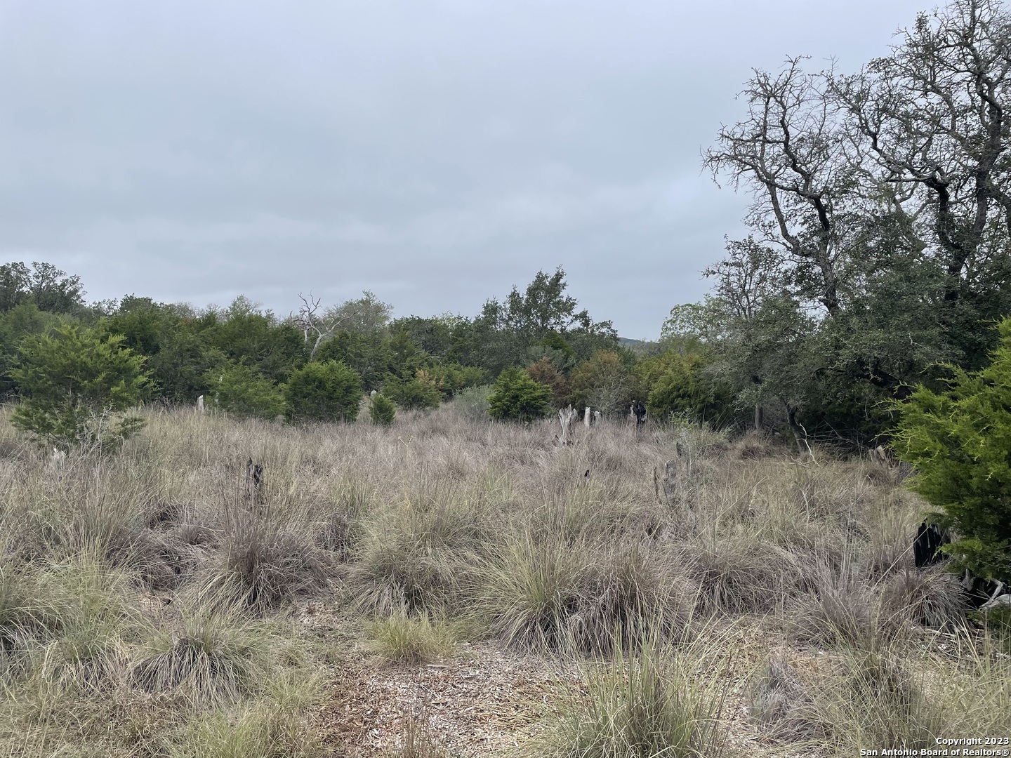 4.31 ACRES Walnut Grove Rd, ,  78006 — photo 1