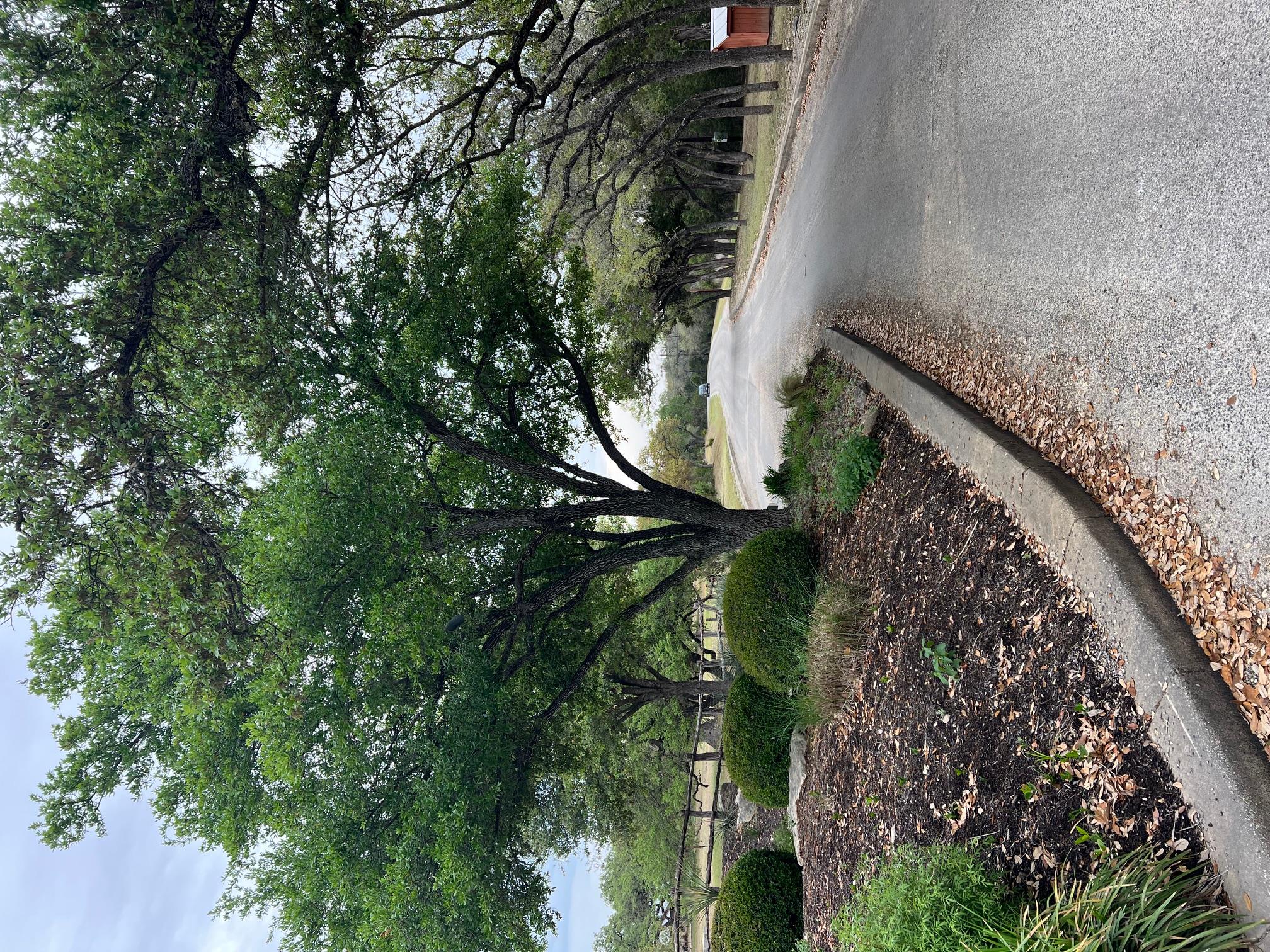 lot 67 Broken Spoke 5 Acres, Canyon Lake, TX 78133 — photo 1