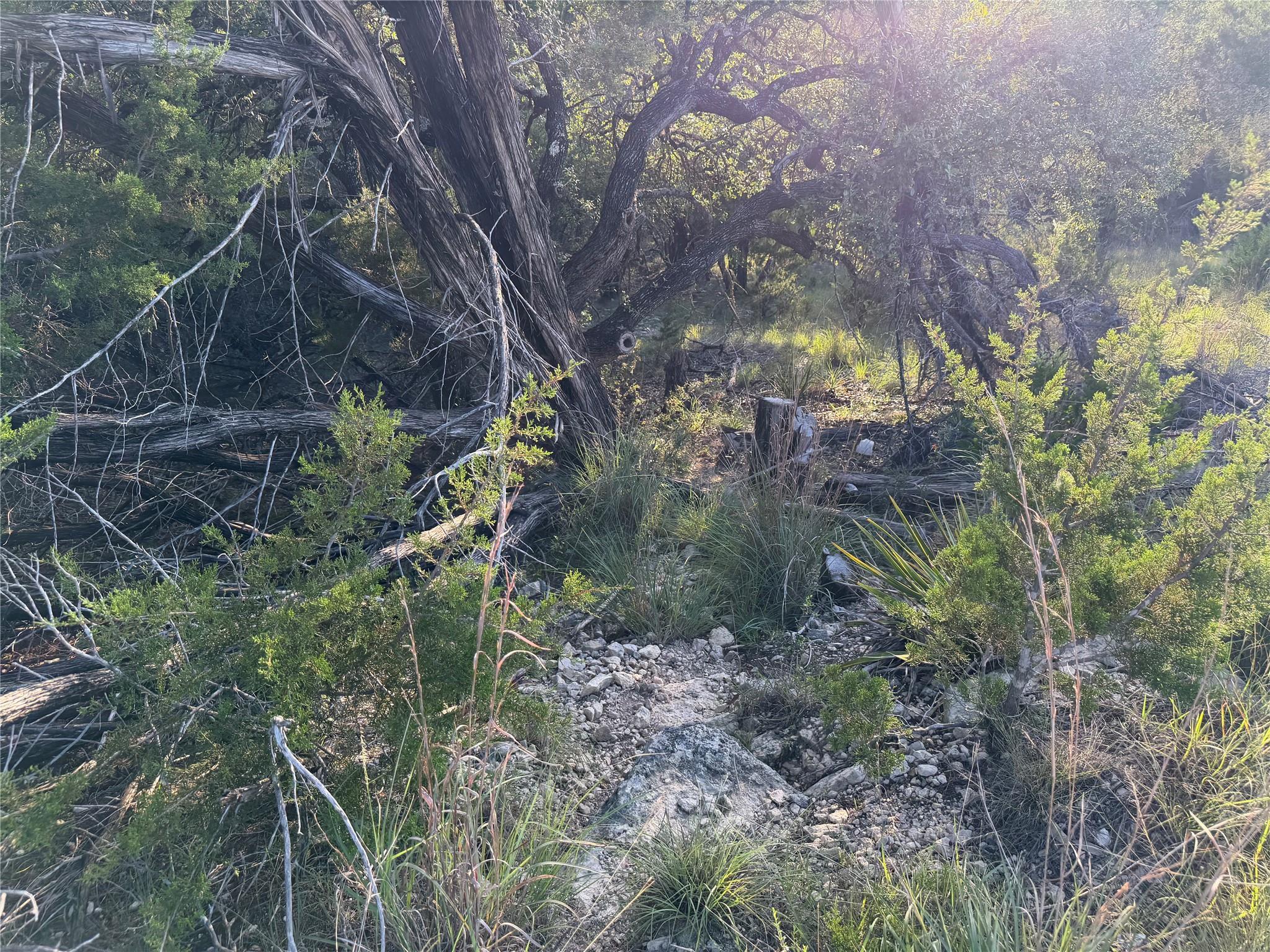 3100  Marshall Ave, Lago Vista, TX 78645 — photo 1