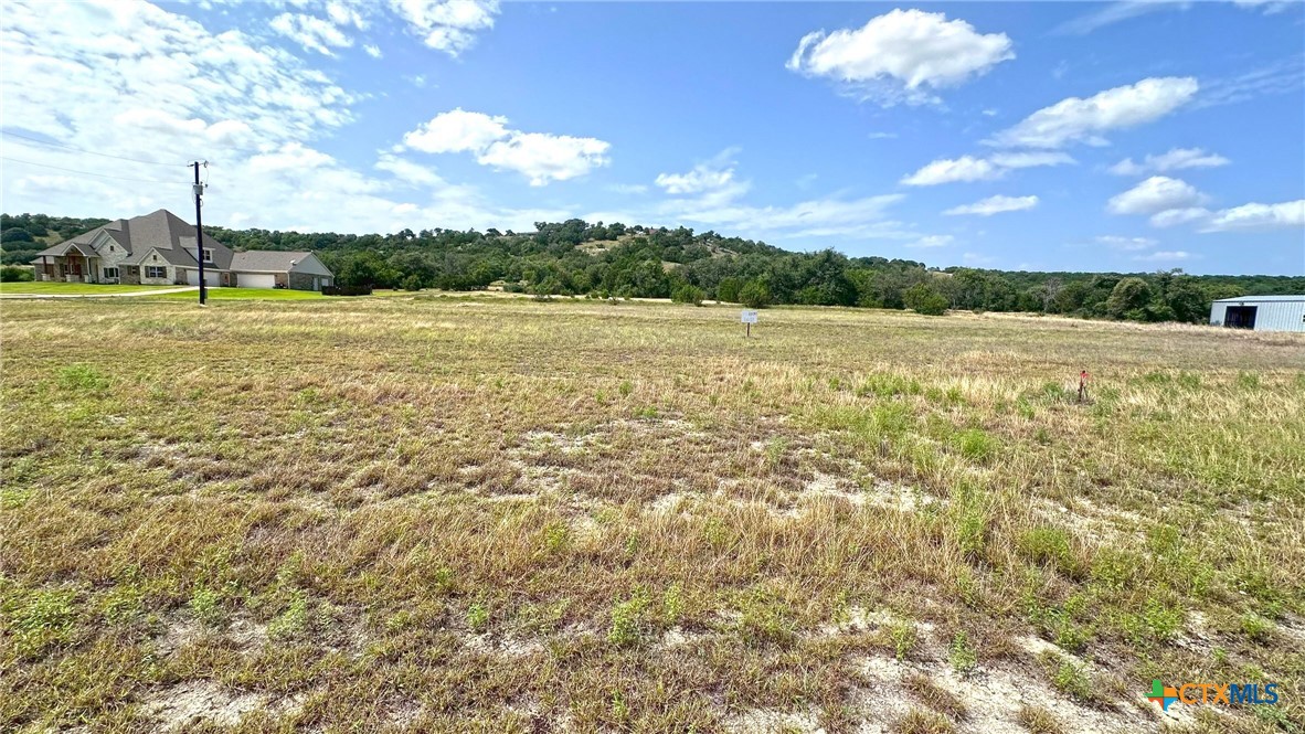 1612 Cottonwood Mesa Drive, Kempner, TX 76539 — photo 1