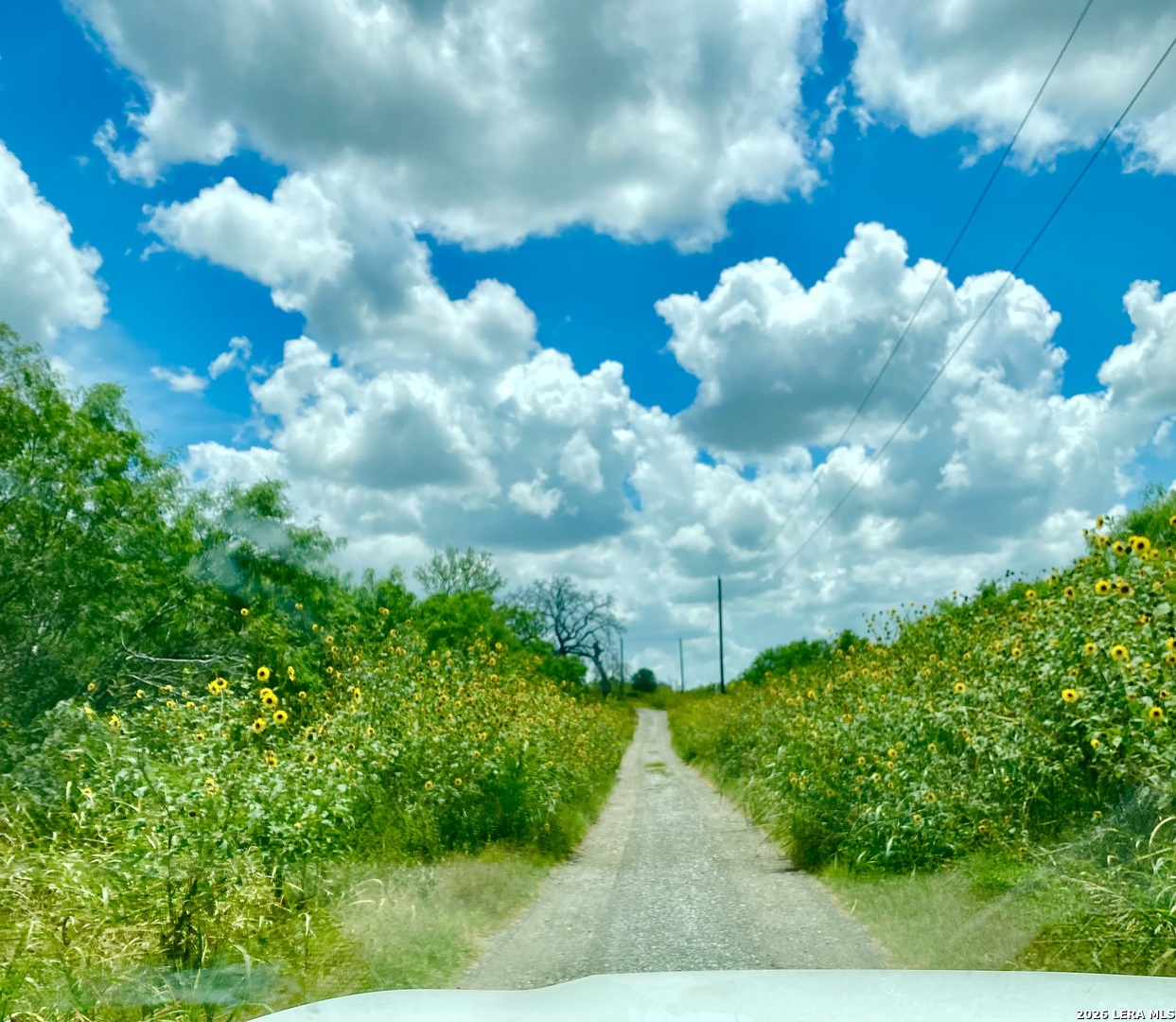 1590 McCauley Rd, Floresville, TX 78114 — photo 1