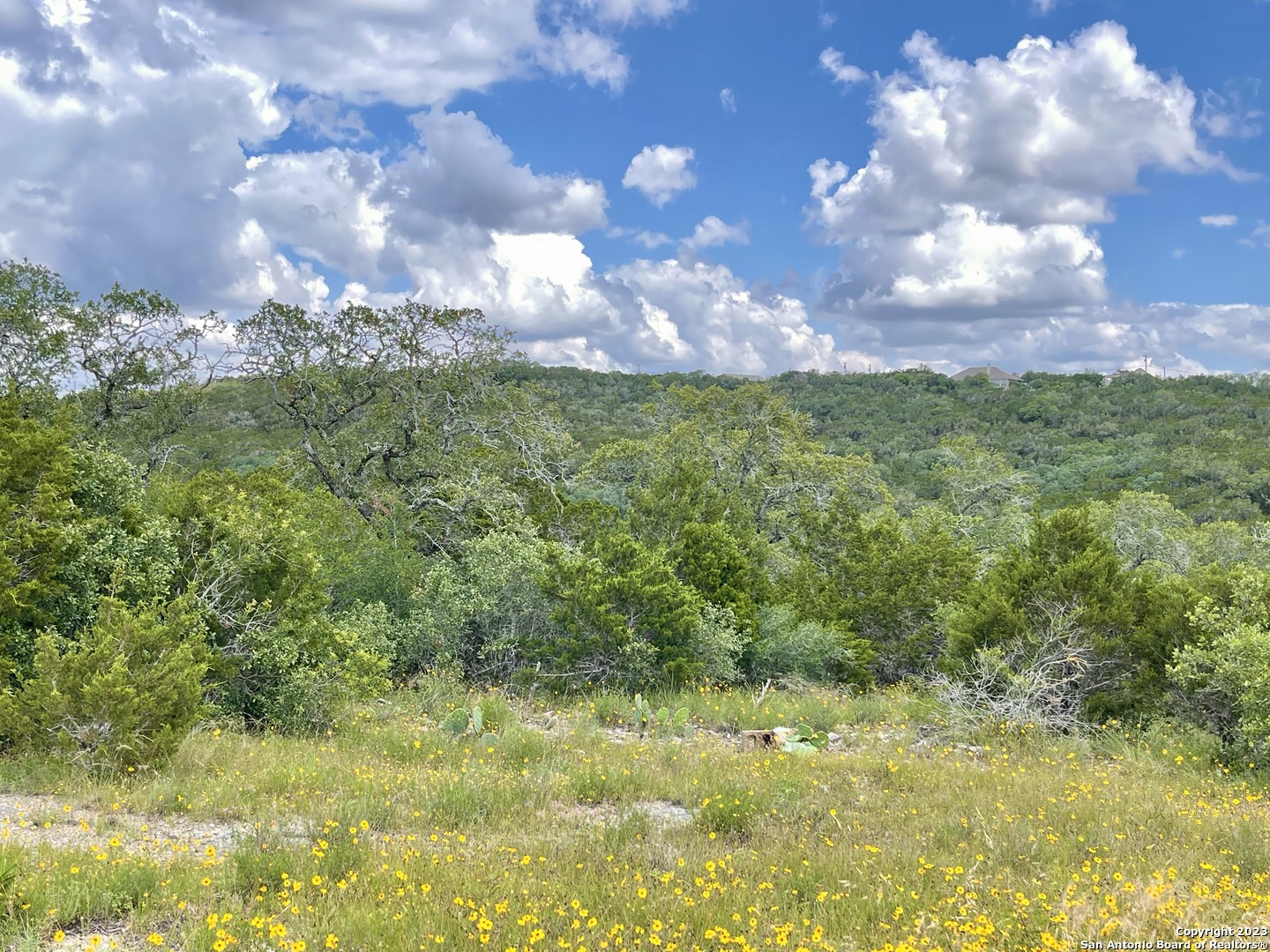 LOT 438 County Rd 2763, Mico, TX 78056 — photo 1