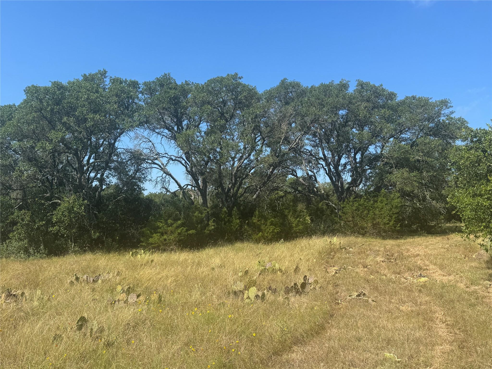 5 Back Bone creek Dr, Burnet, TX 78611 — photo 1