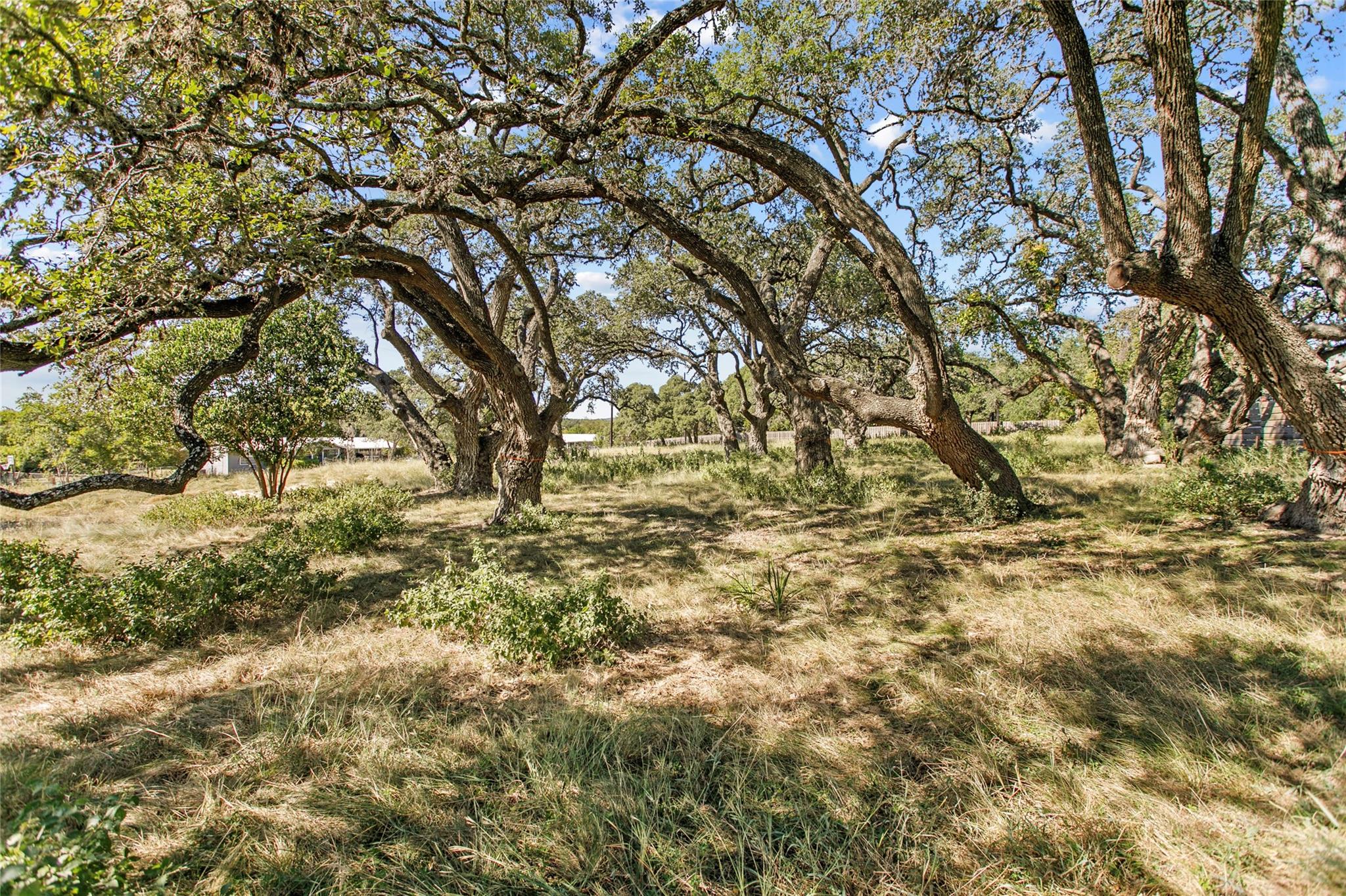 1314 Greenlawn, Blanco, TX 78606 — photo 1