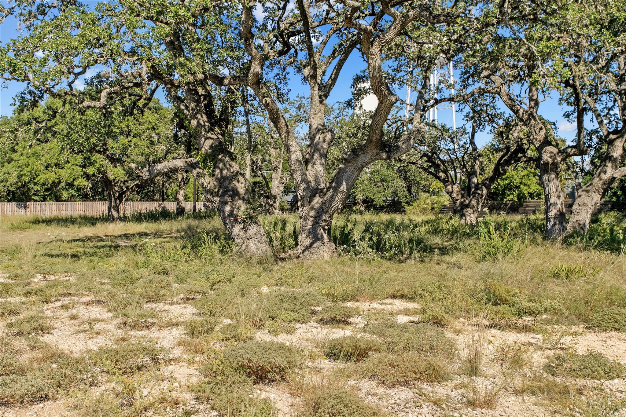 1410 Greenlawn, Blanco, TX 78606 — photo 1