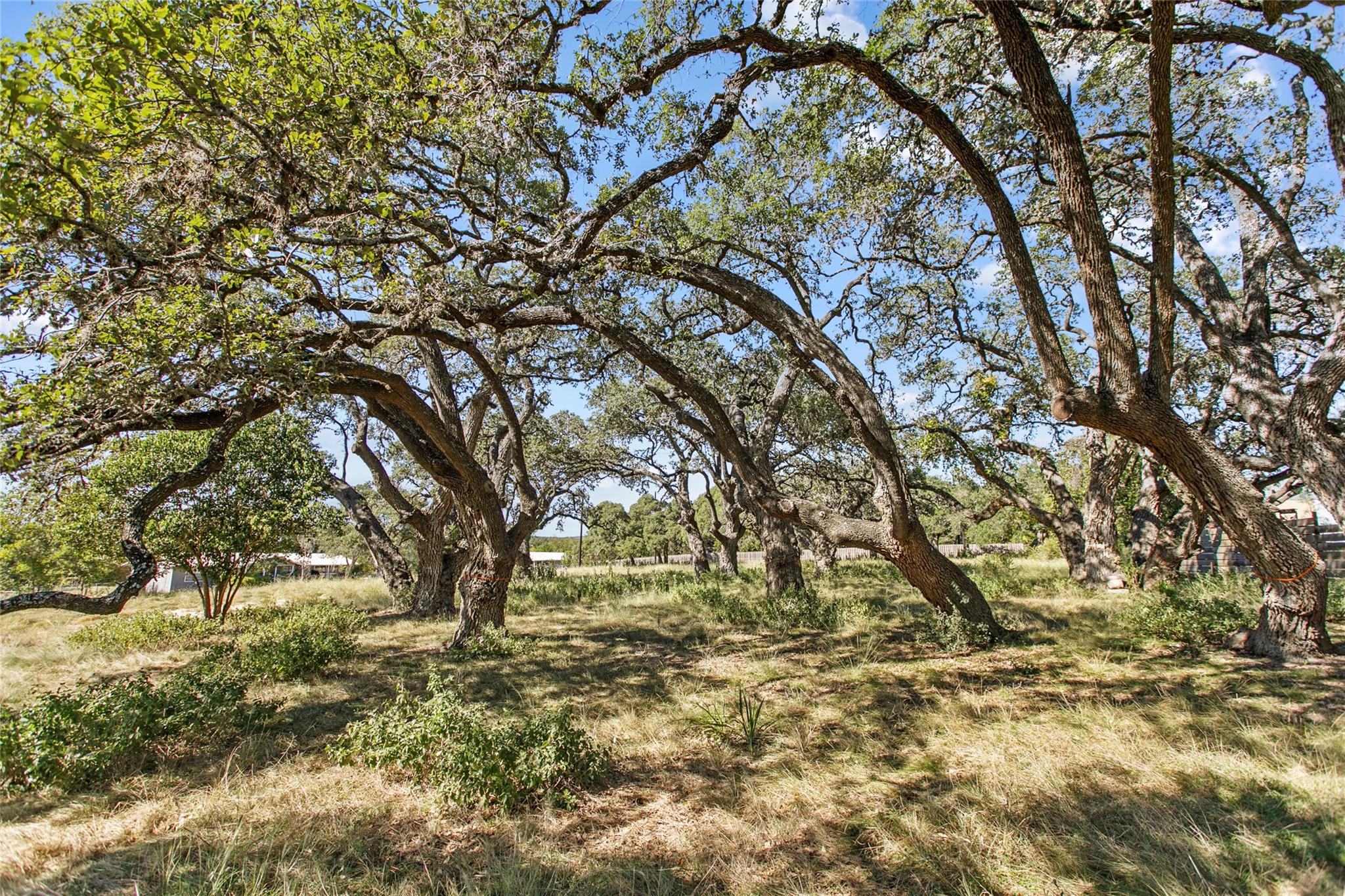 1316 Greenlawn, Blanco, TX 78606 — photo 1