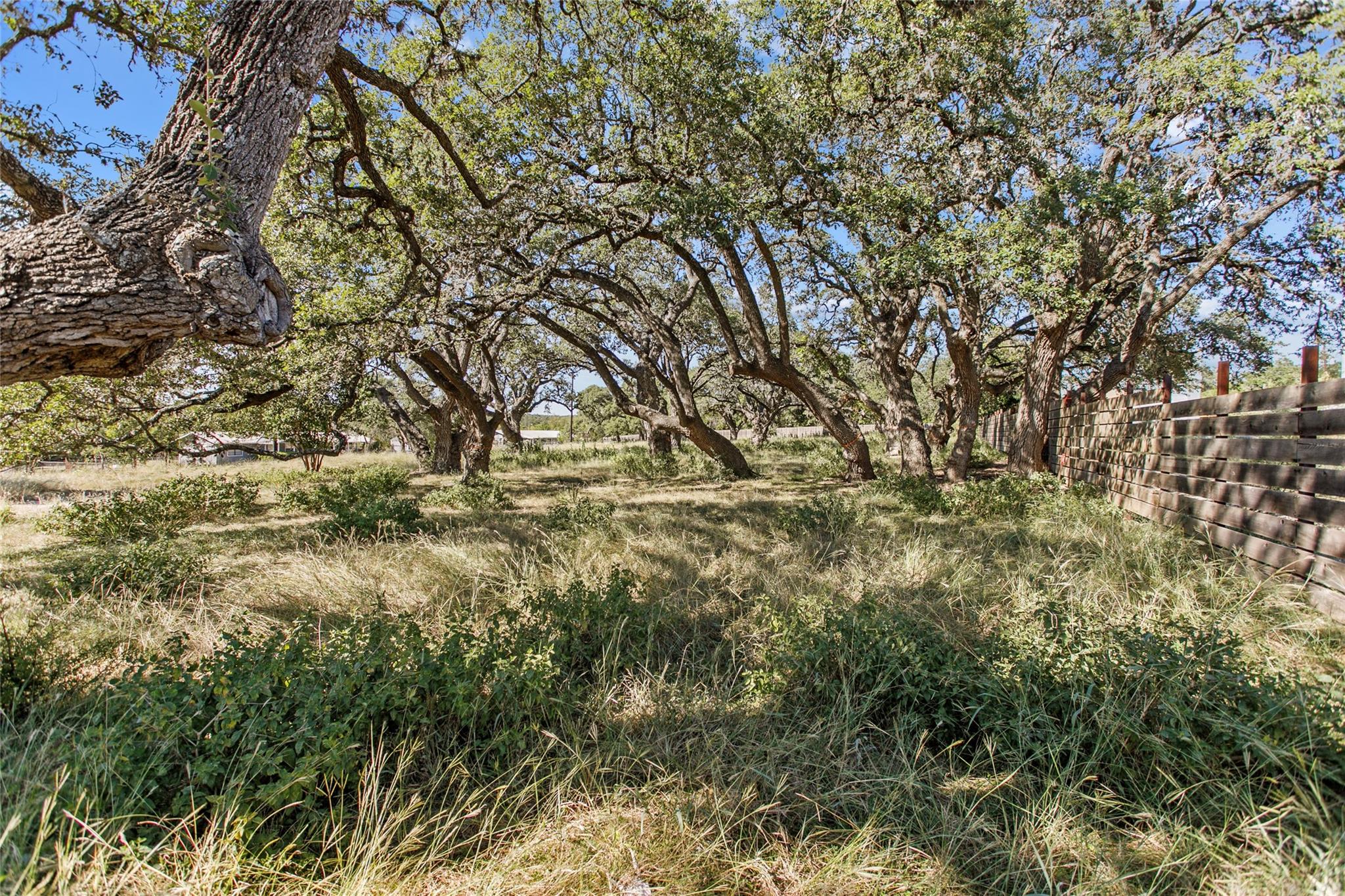 1400 Greenlawn, Blanco, TX 78606 — photo 1