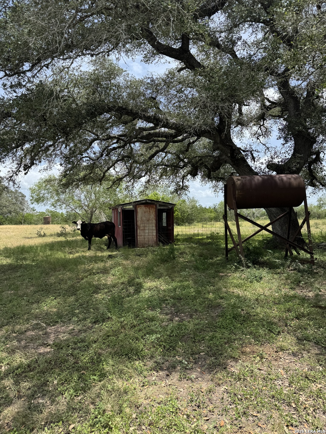 627 Ochoa, ,  78141 — photo 1