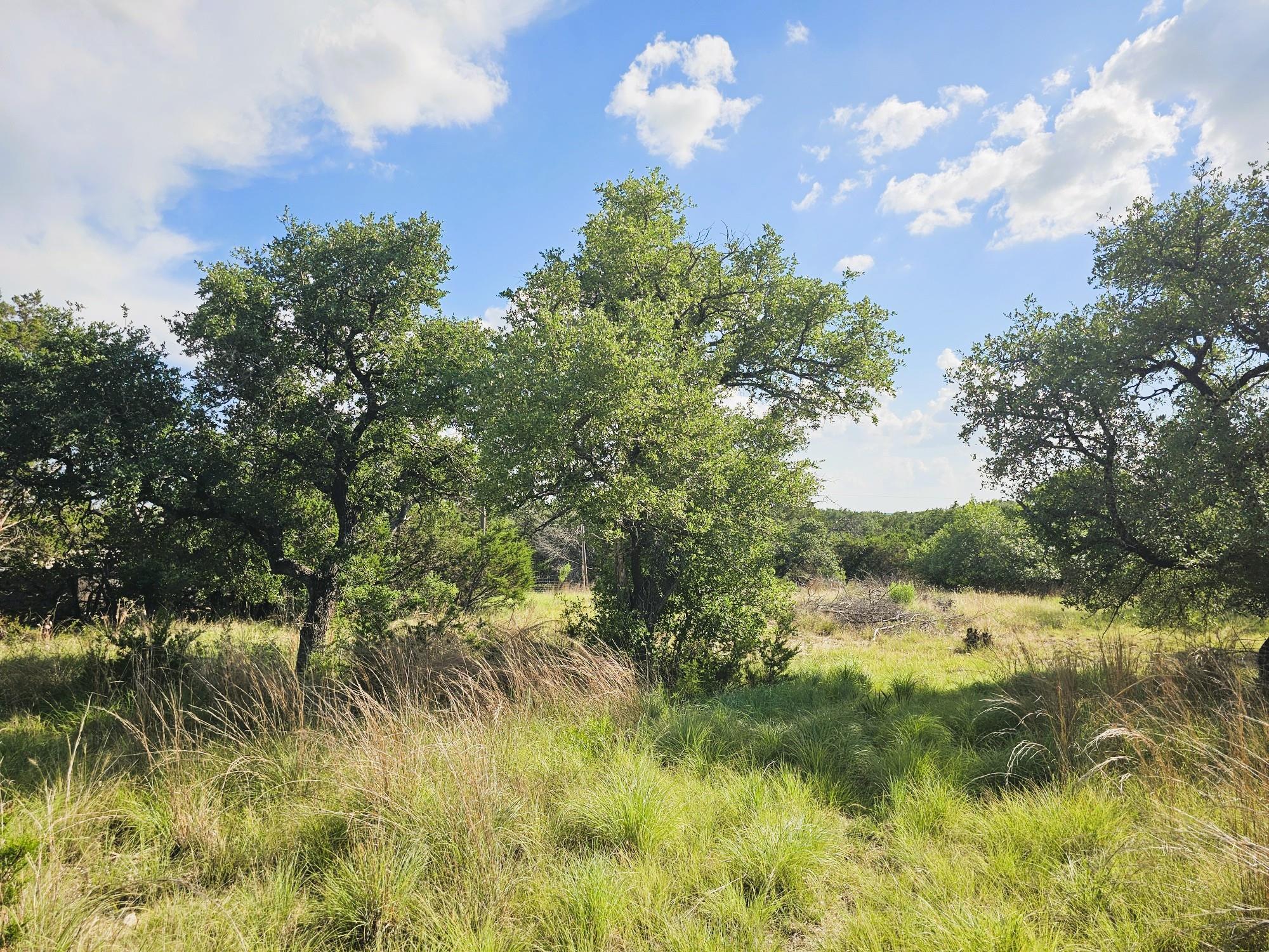 100 Reavis, Kempner, TX 76539 — photo 1