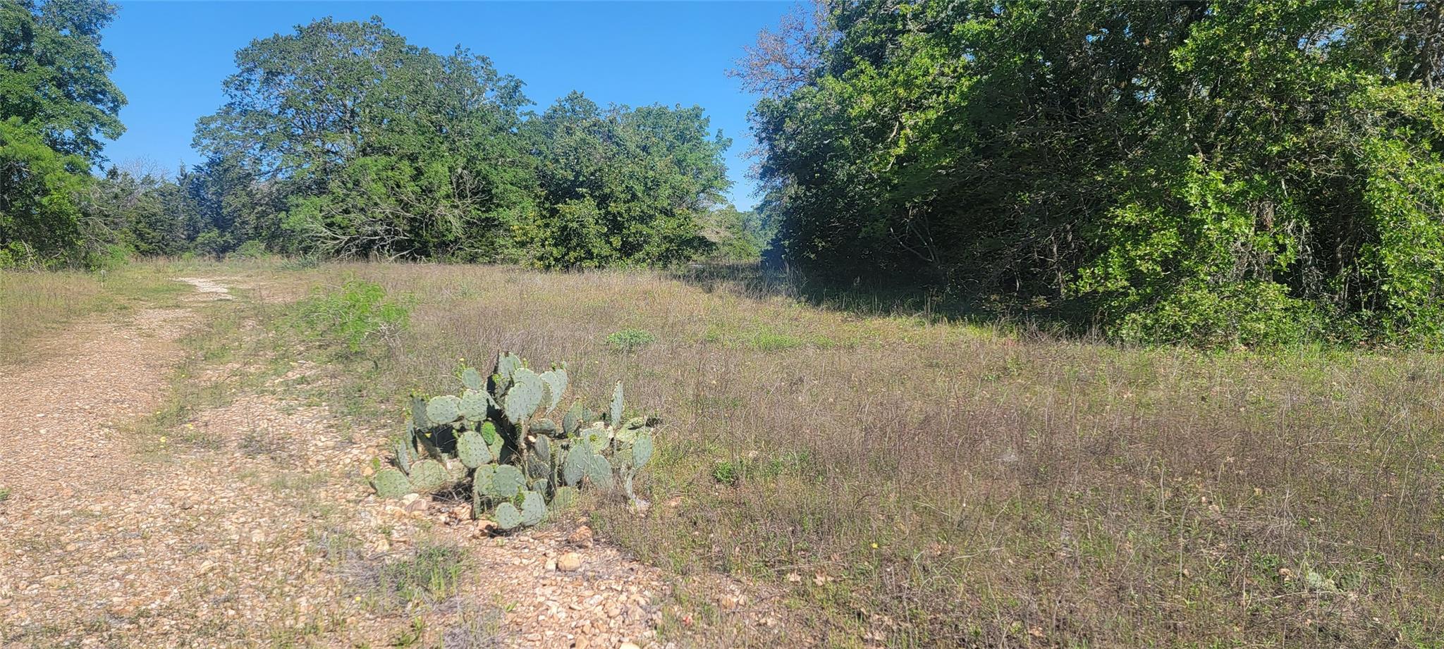 156 Lone Star, Bastrop, TX 78602 — photo 1