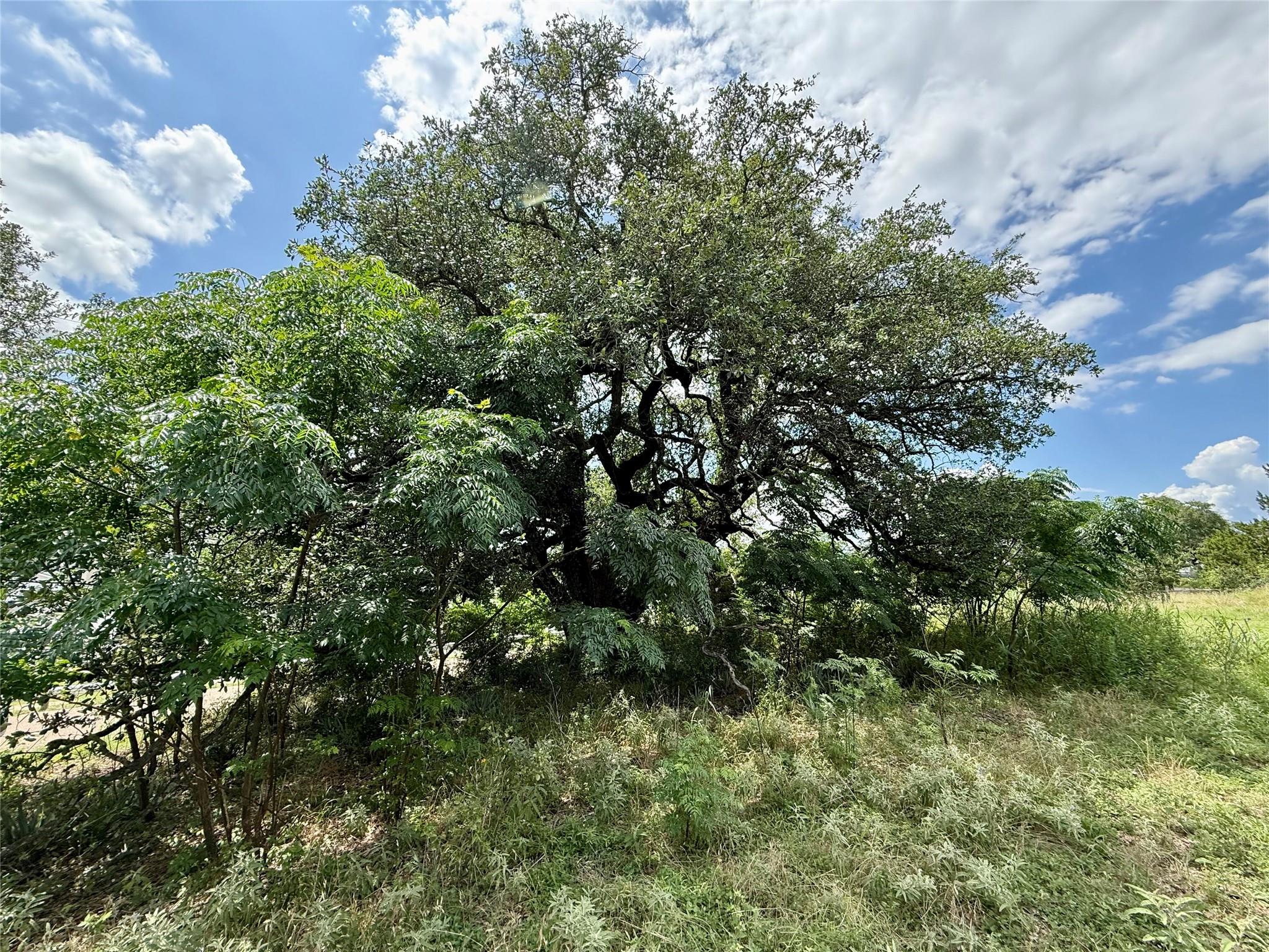 731 Santa Maria, Salado, TX 76571 — photo 1