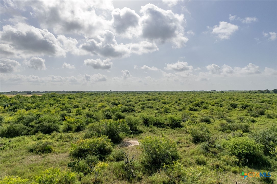 40 acres HWY 172, Port Lavaca, TX 77979 — photo 1