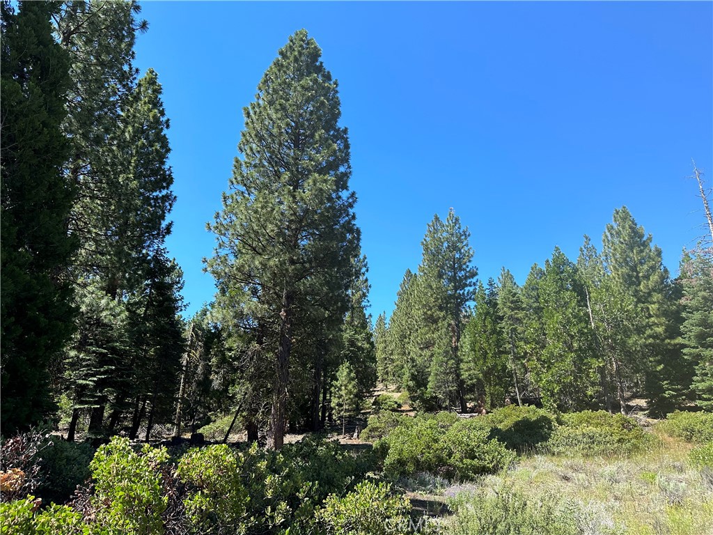 1 Canyon Creek Rd