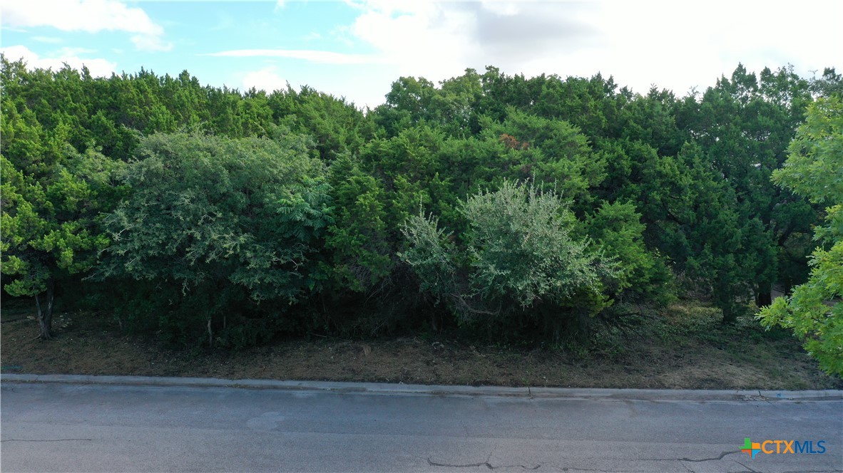 1505 Wildridge Drive, Harker Heights, TX 76548 — photo 1