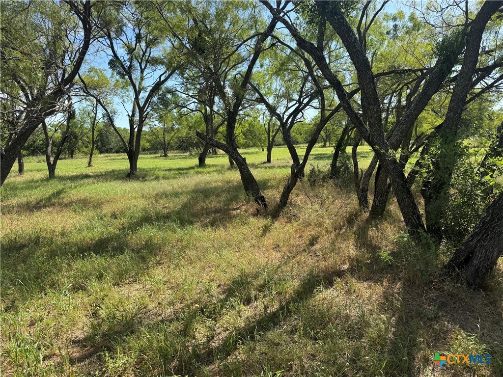 Lot 2 Sixth, Bangs, TX 76823 — photo 1