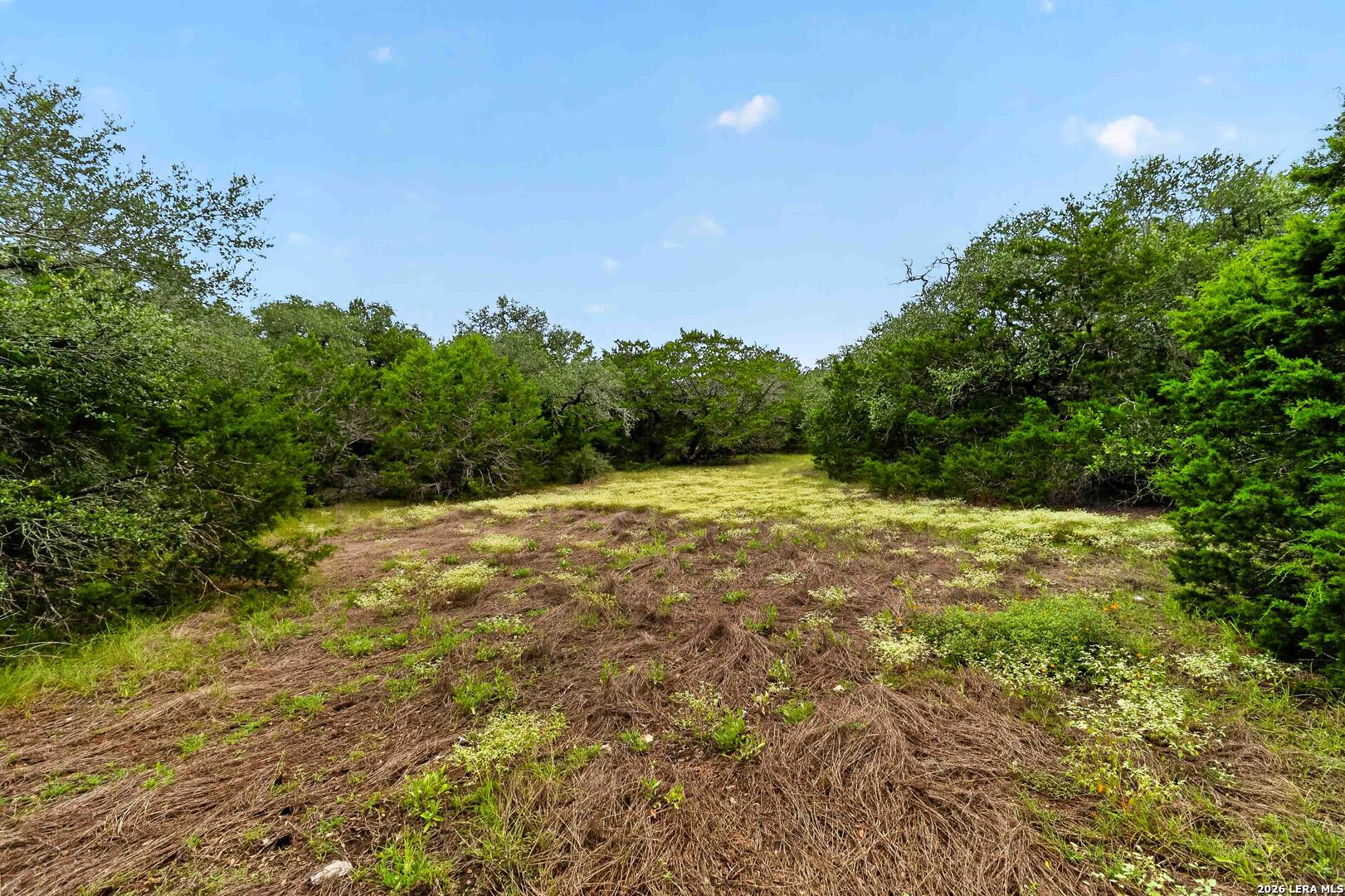 34893 THANKSGIVING TRL, Bulverde, TX 78163 — photo 1