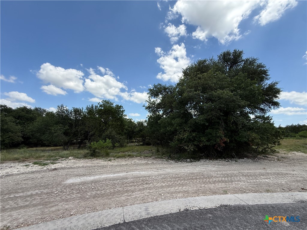 1220 Gannon, Salado, TX 76571 — photo 1