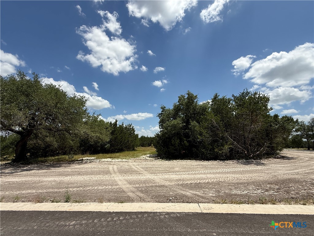 1202 Gannon, Salado, TX 76571 — photo 1
