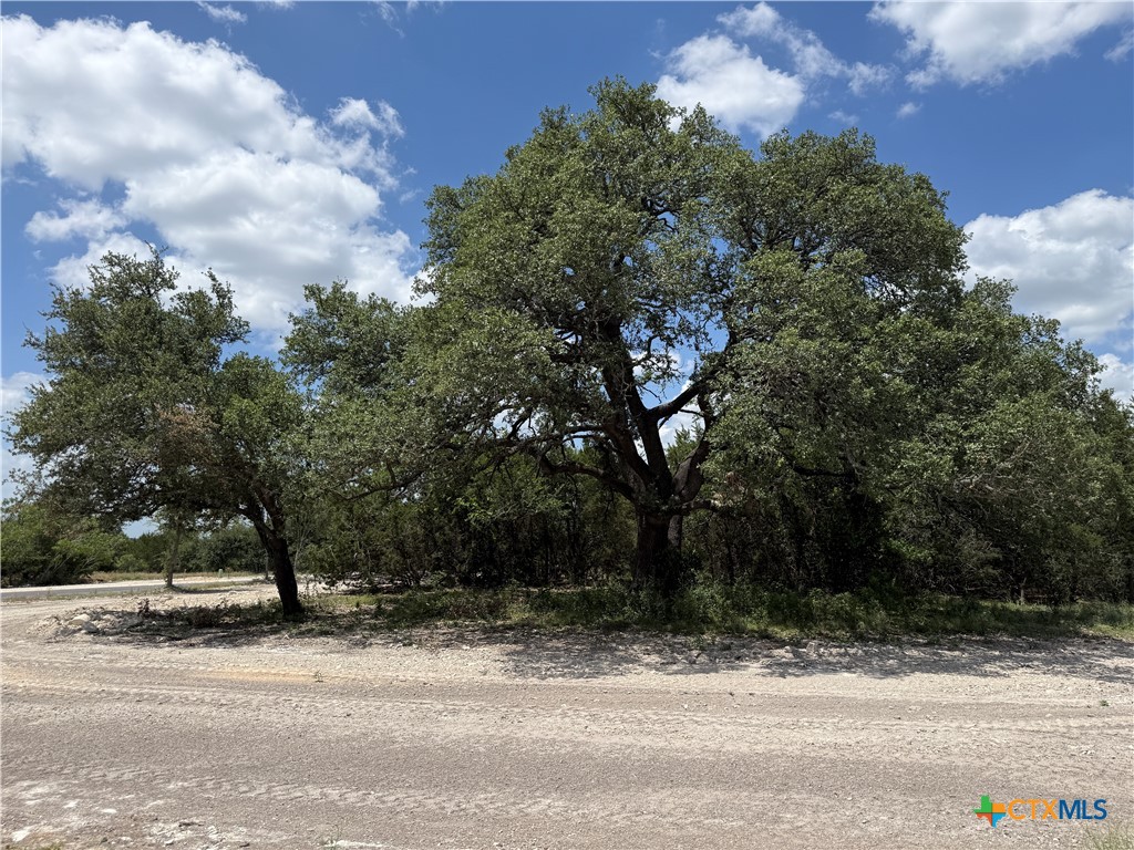 1201 Gannon, Salado, TX 76571 — photo 1