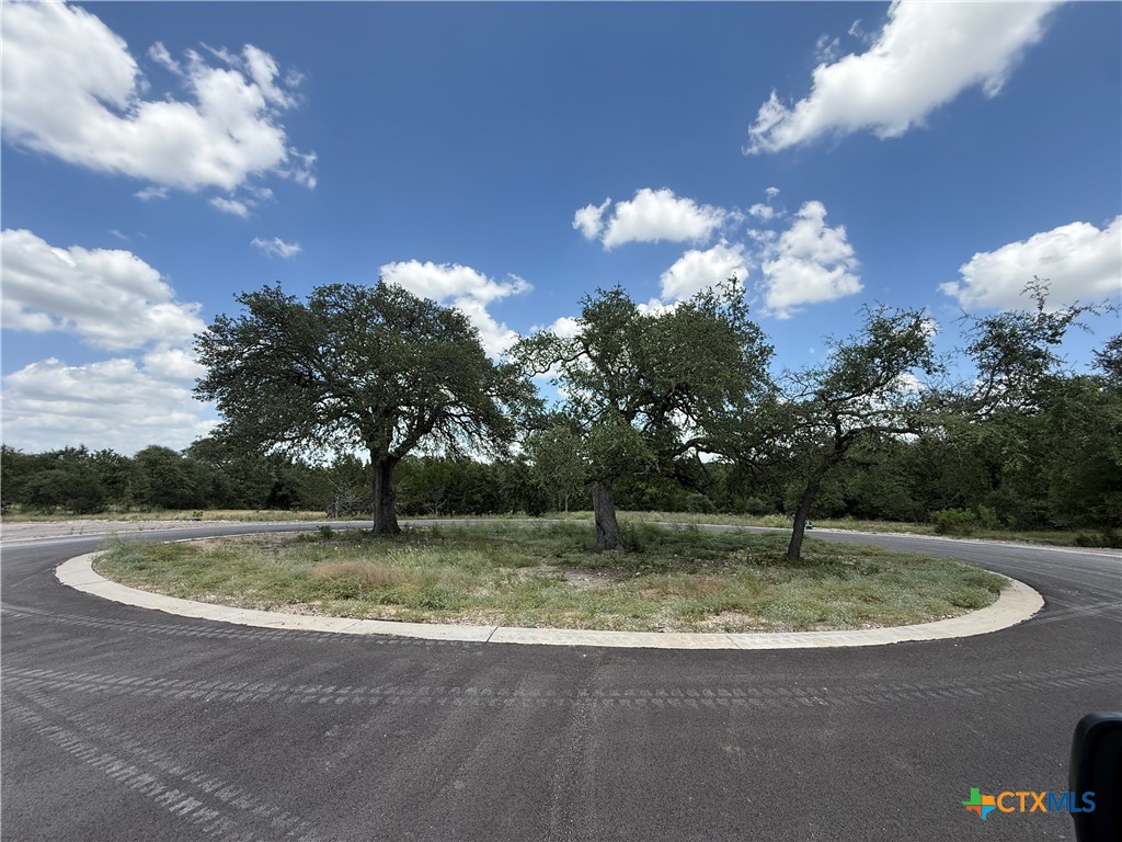 1238 Gannon, Salado, TX 76571 — photo 1