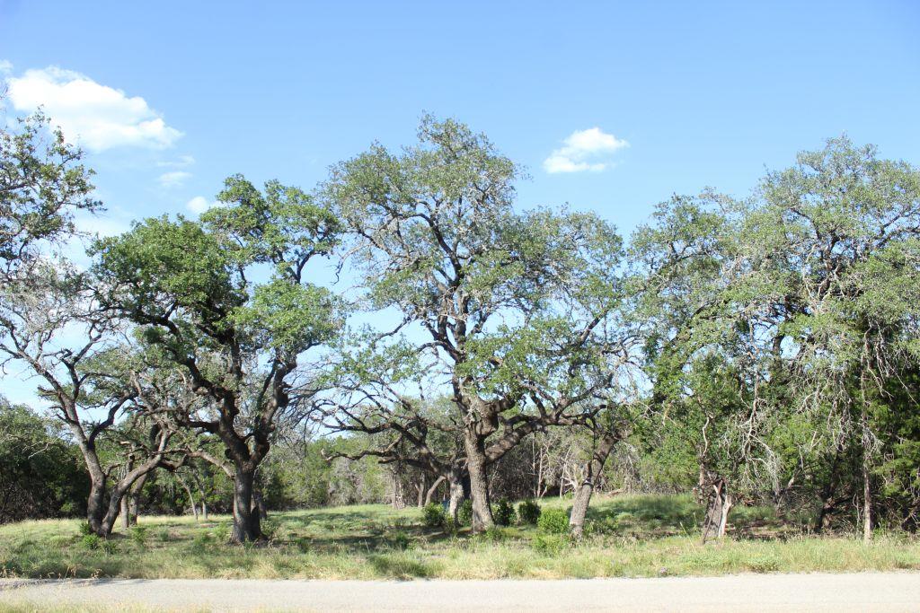 Lots 56-57 Travis Oaks, Marble Falls, TX 78654 — photo 1
