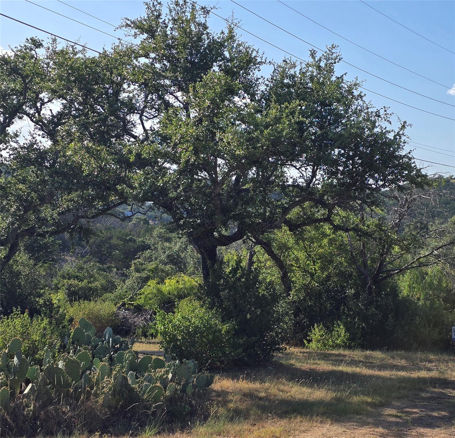 TBD Elm, Burnet, TX 78611 — photo 1