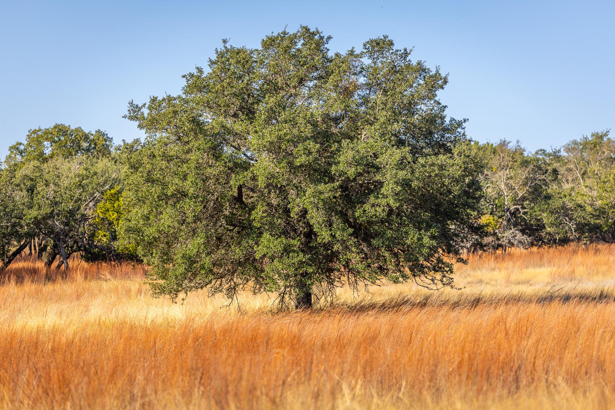 1260 County Road 2001, Lampasas, TX 76550 — photo 1