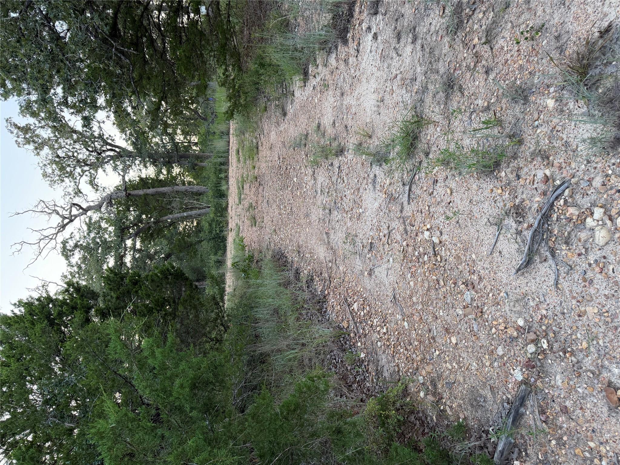 Lot 4 Spruce, Paige, TX 78659 — photo 1
