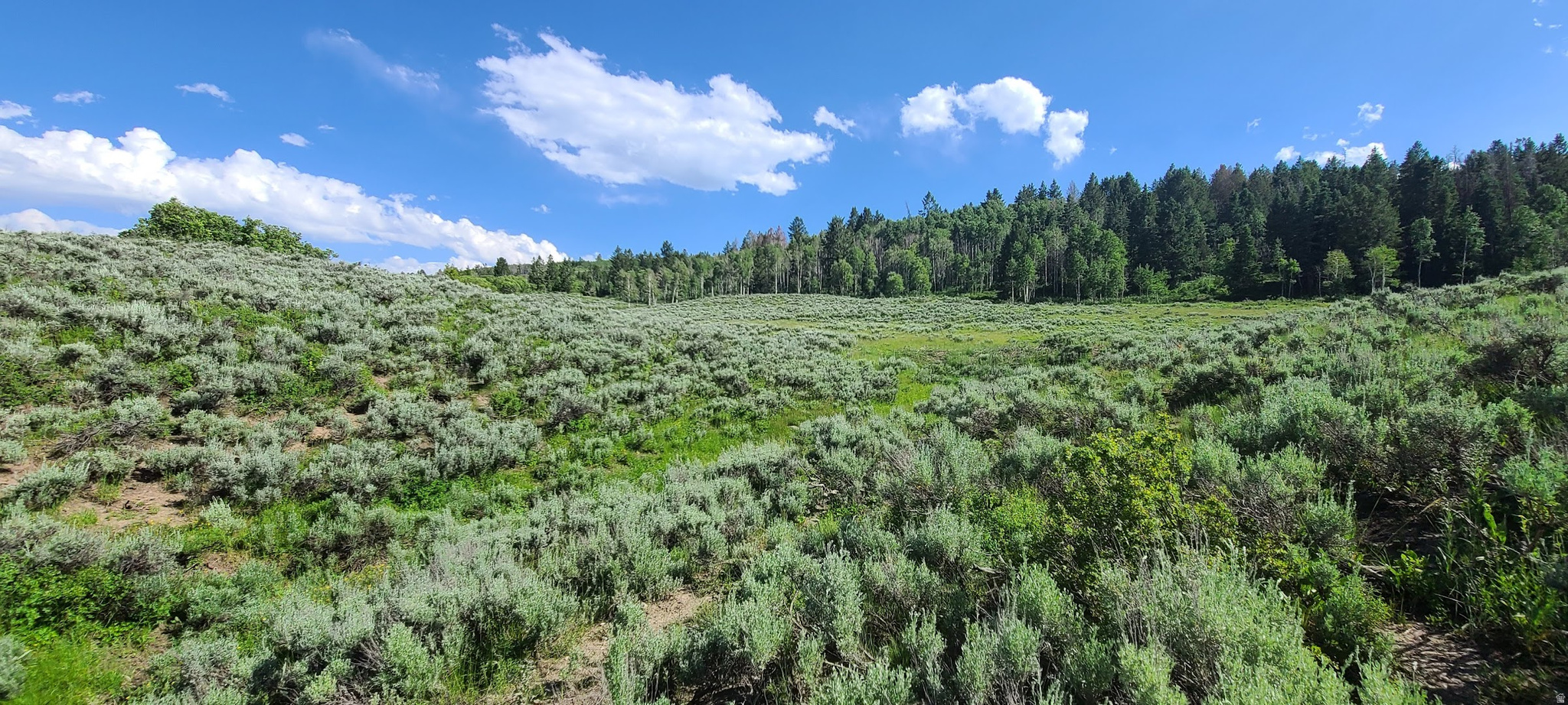 22991 E ALTA DR, Spanish Fork, UT 84660 — photo 1
