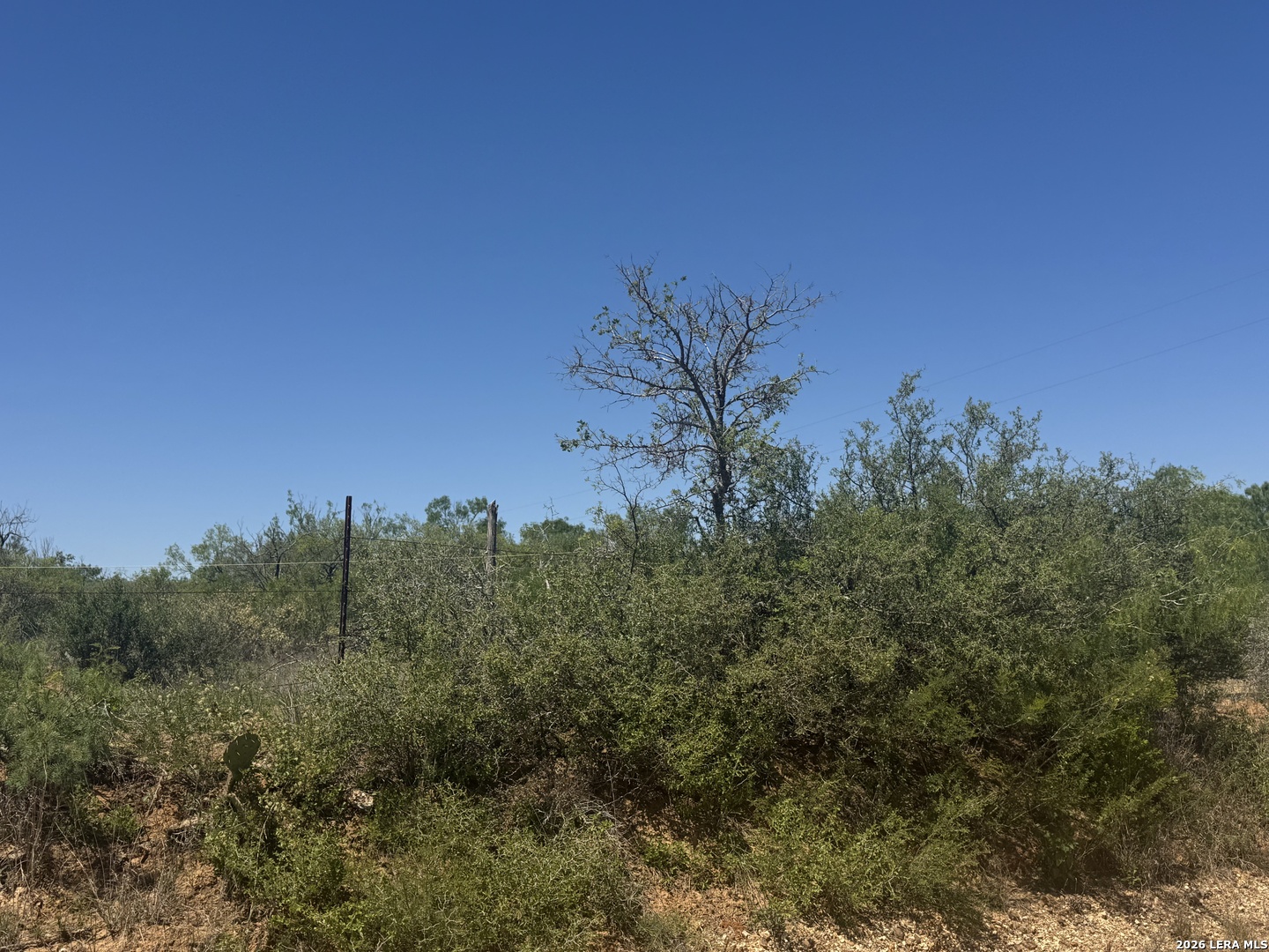 00 Kyote, Bigfoot, TX 78005 — photo 1
