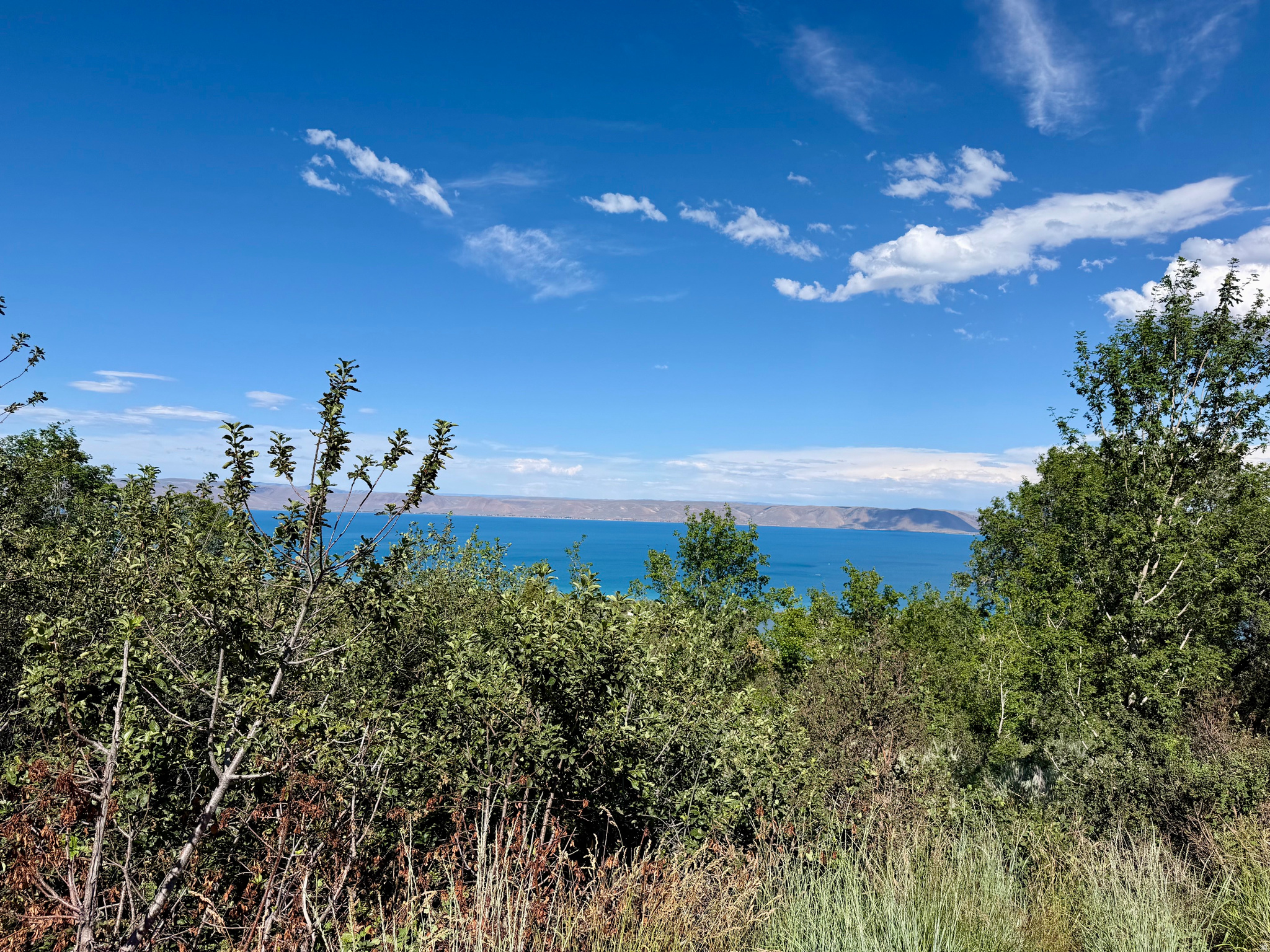 193 HICKOCK DR, Fish Haven, ID 83287 — photo 1