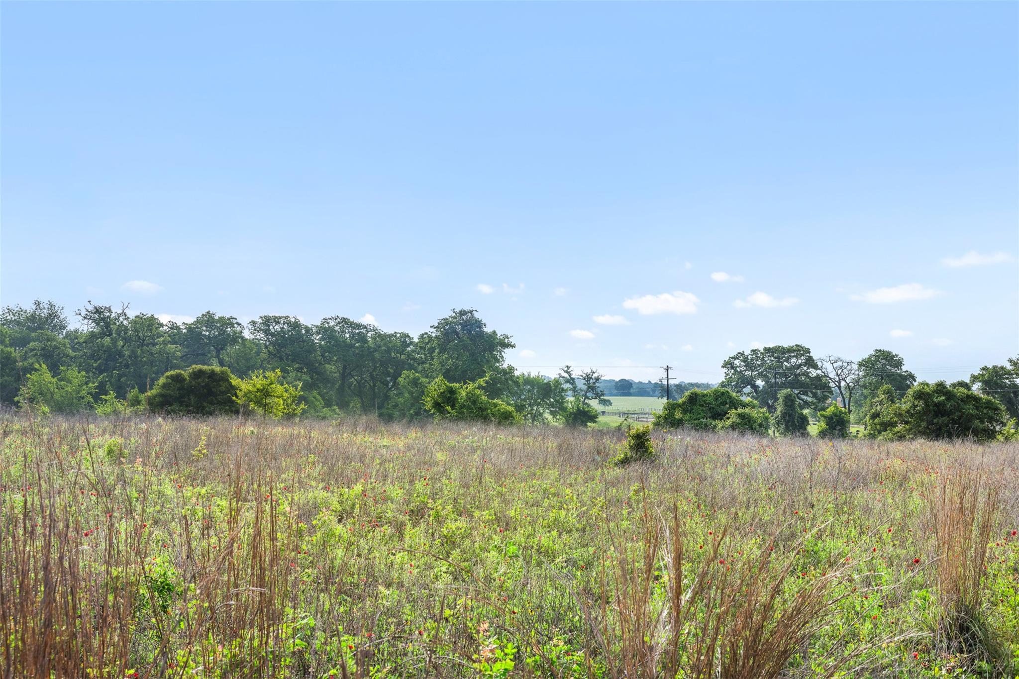 5241 County Road 358 Crst, Caldwell, TX 77836 — photo 1