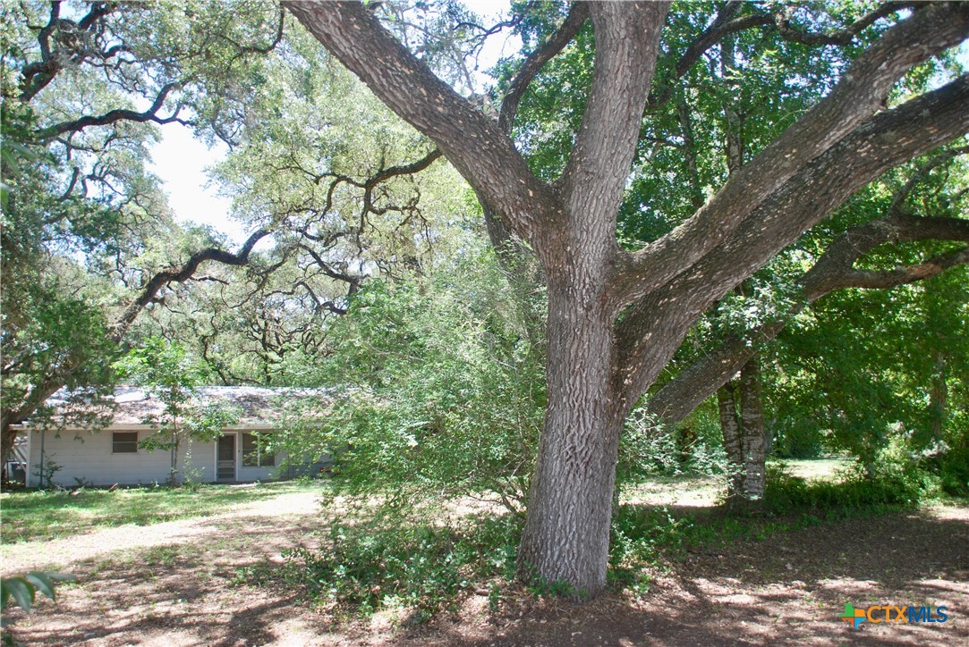 29 County Road 77b, Hallettsville, TX 77964 — photo 1