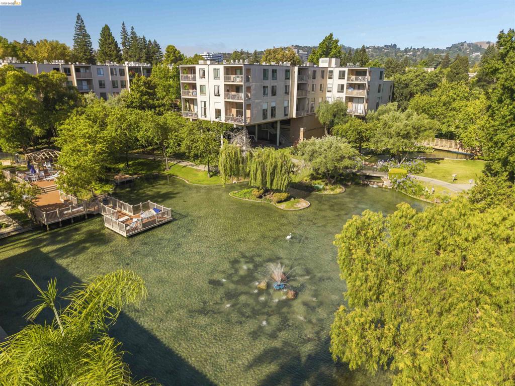 420 N Civic Dr 207, Walnut Creek, CA 94596 — photo 1