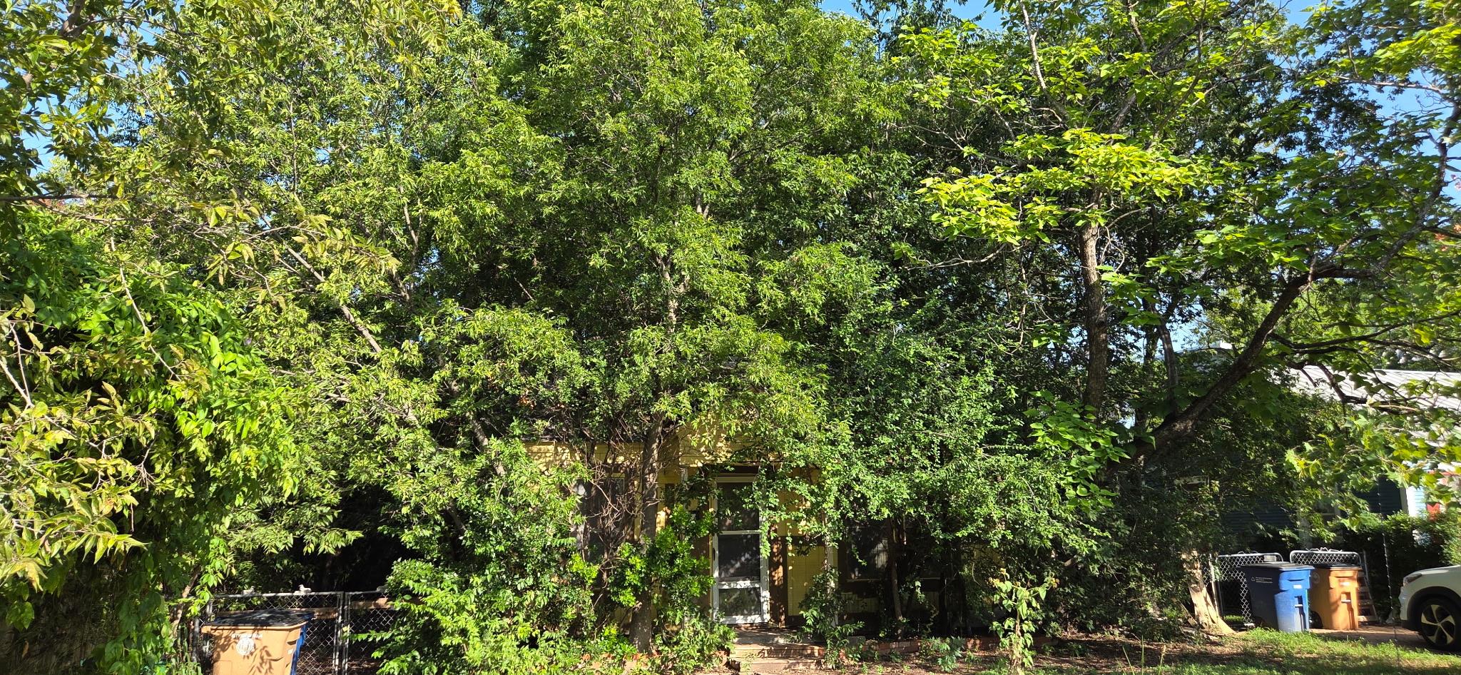 5309  Martin Ave, Austin, TX 78751 — photo 1