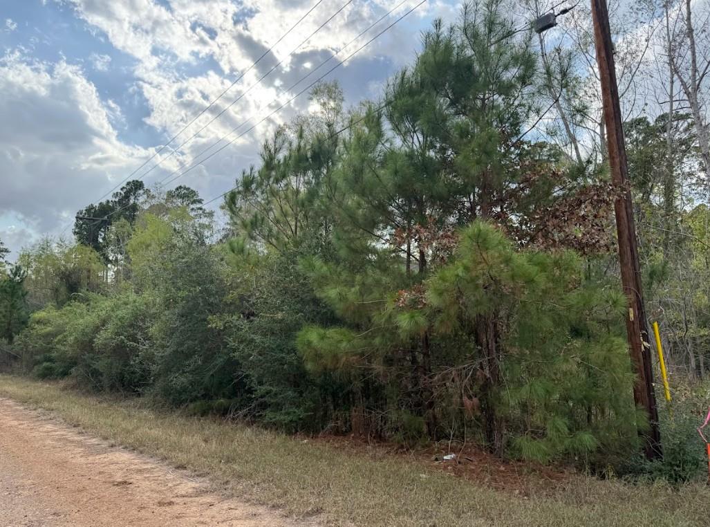 Lot 233  MAKAHA Dr, Bastrop, TX 78602 — photo 1