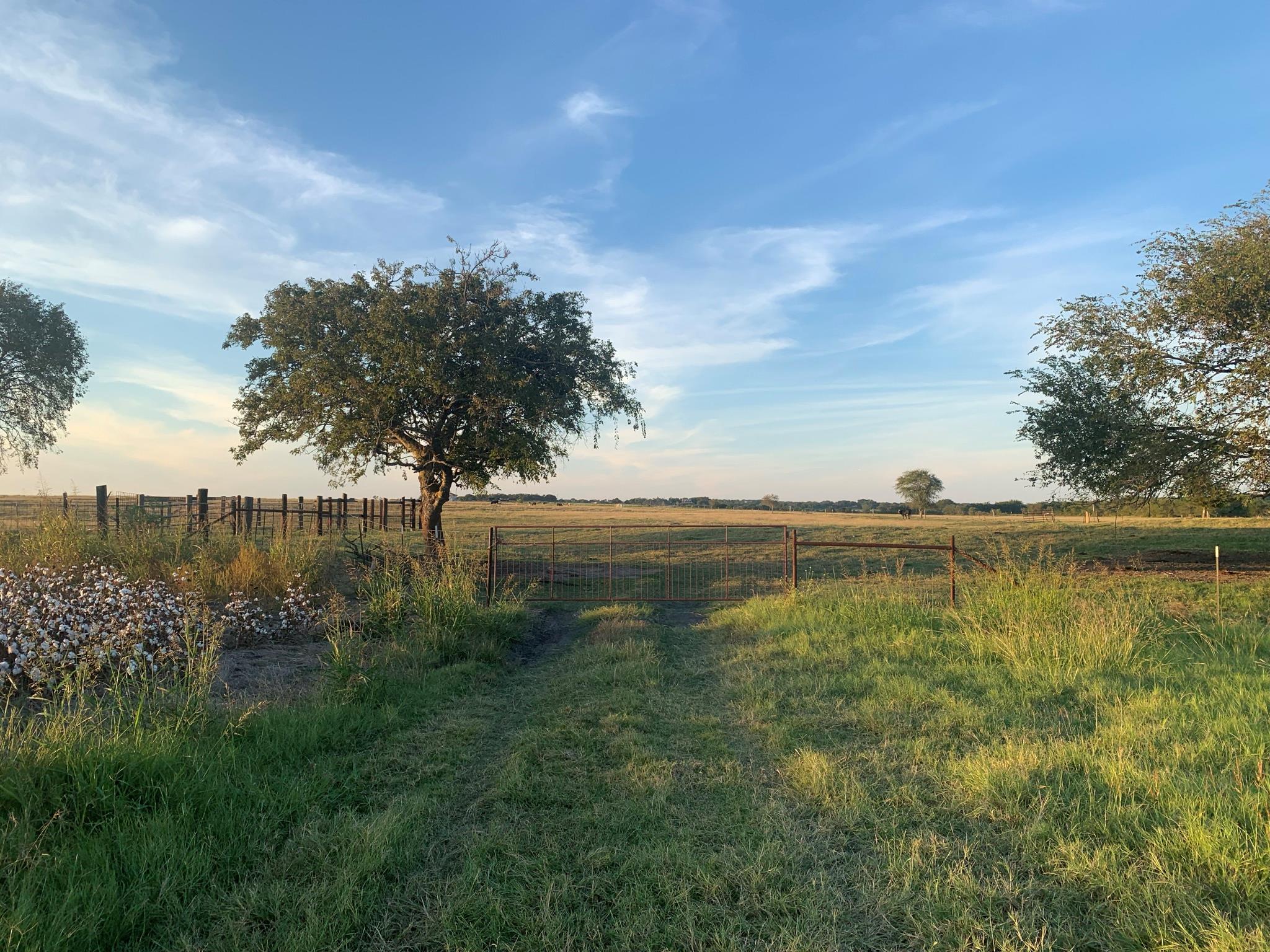 TBD2 County Road 154 None, Georgetown, TX 78626 — photo 1