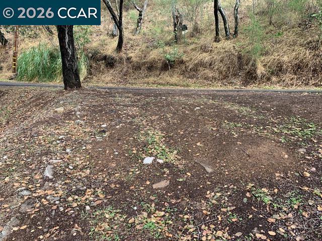 Mountain View Ave, Oakland, CA 94605 — photo 1