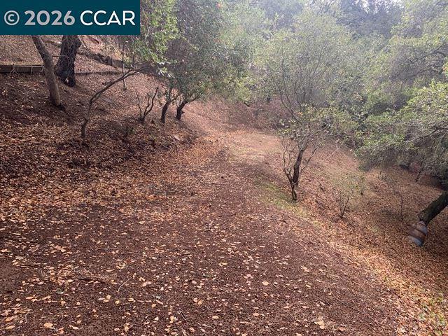 Mountain View Ave, Oakland, CA 94605 — photo 1